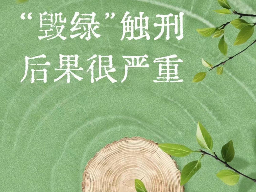 植树节必看：“毁绿”触刑，后果很严重